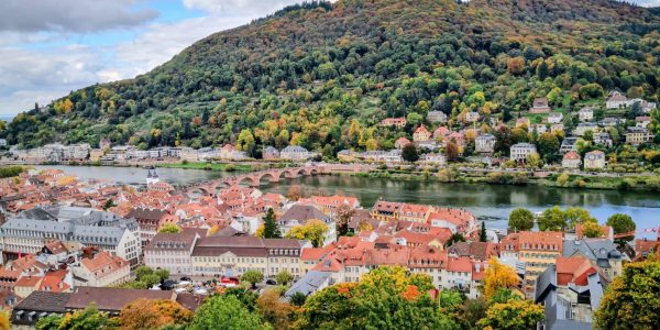 IMG_20251018_140847~2