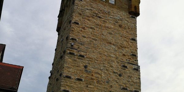 IMG_20251019_153557~2