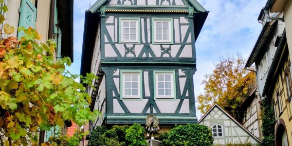 original_caabd108-f00c-4d22-a3e1-732e896502bf_IMG_20251019_155424~2